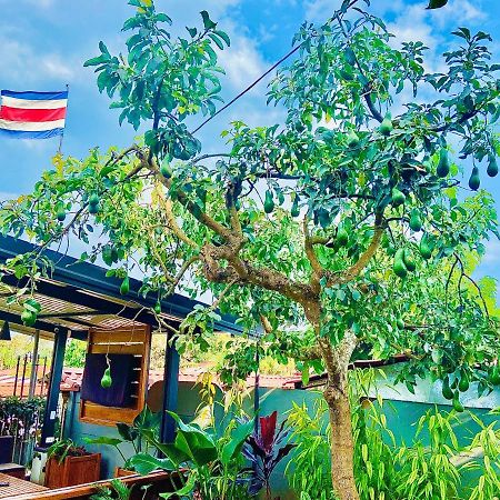 Casa Los Madriz Suite #2 San Isidro De El General Екстериор снимка
